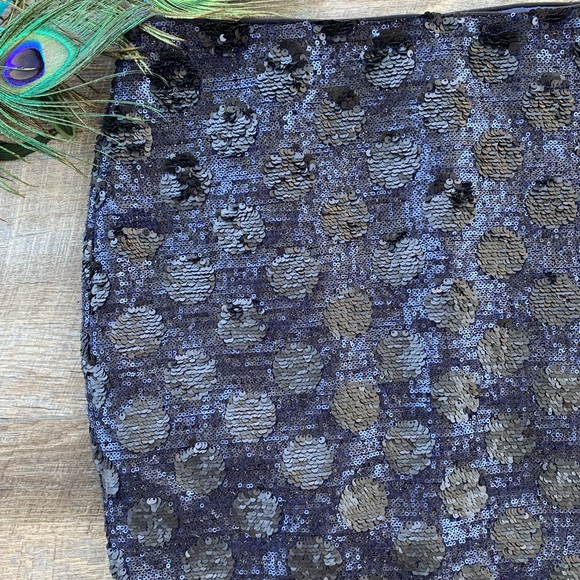 Anthropologie—Broadway & Broome—Sequin Skirt - Picture 2 of 8
